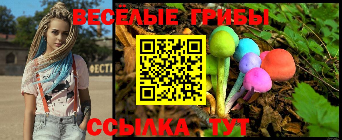 Галлюциногенные грибы Psilocybine cubensis  Вход с VPN  Иркутск 